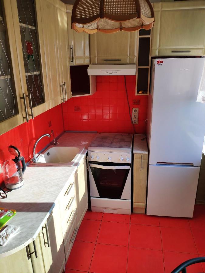 Cozy One Bedroom Apartment Kiev Esterno foto